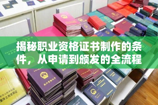 龙凤揭秘职业资格证书制作的条件，从申请到颁发的全流程解析